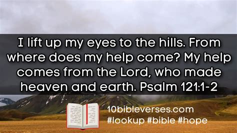 He will not leave you or forsake you. . Looking up bible verses